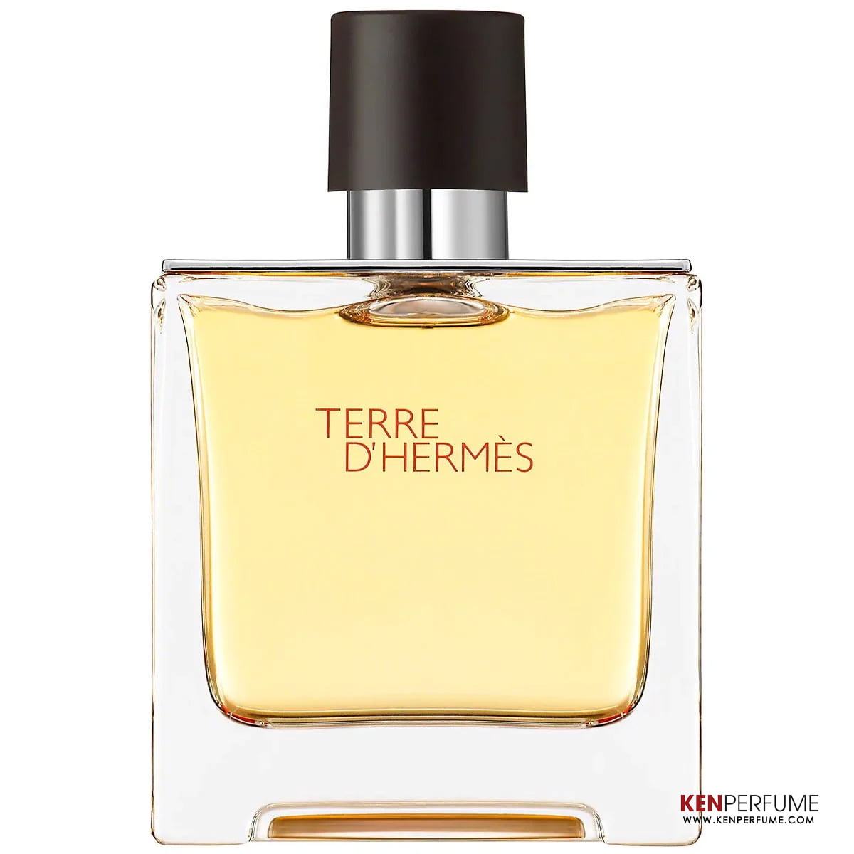 Nước Hoa Nam Hermès Terre d'Hermes Parfum