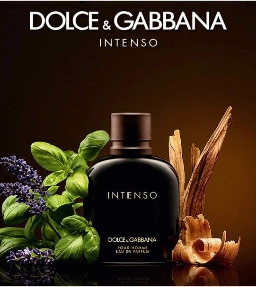 D&G Pour Homme Intenso EDP phù hợp cho người đàn ông hiện đại