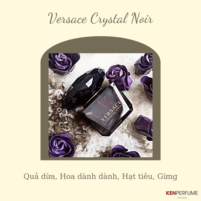 Review nước hoa Versace top 5 sản phẩm được yêu thích nhất