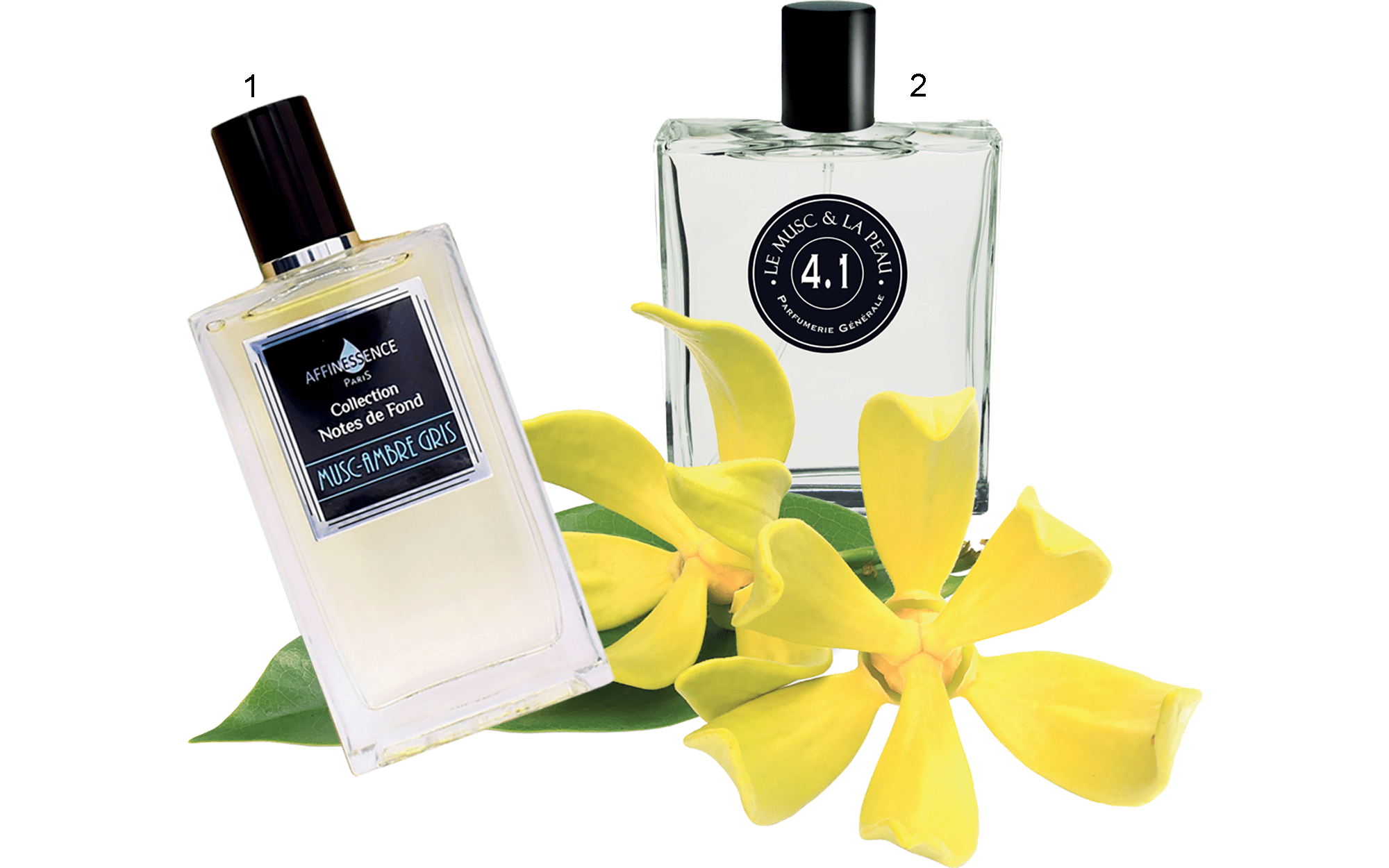 Nước hoa nữ mùi xạ hương – sự quyến rũ đến từ làn da