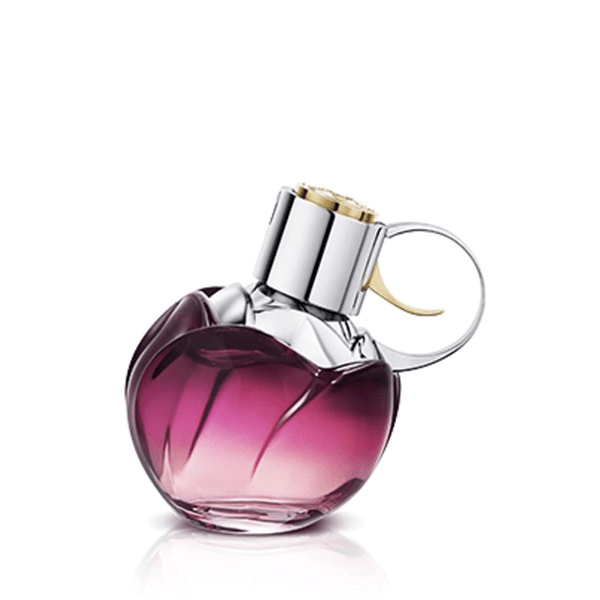 Wanted Girl mang đến sự hiện đại, tinh tế