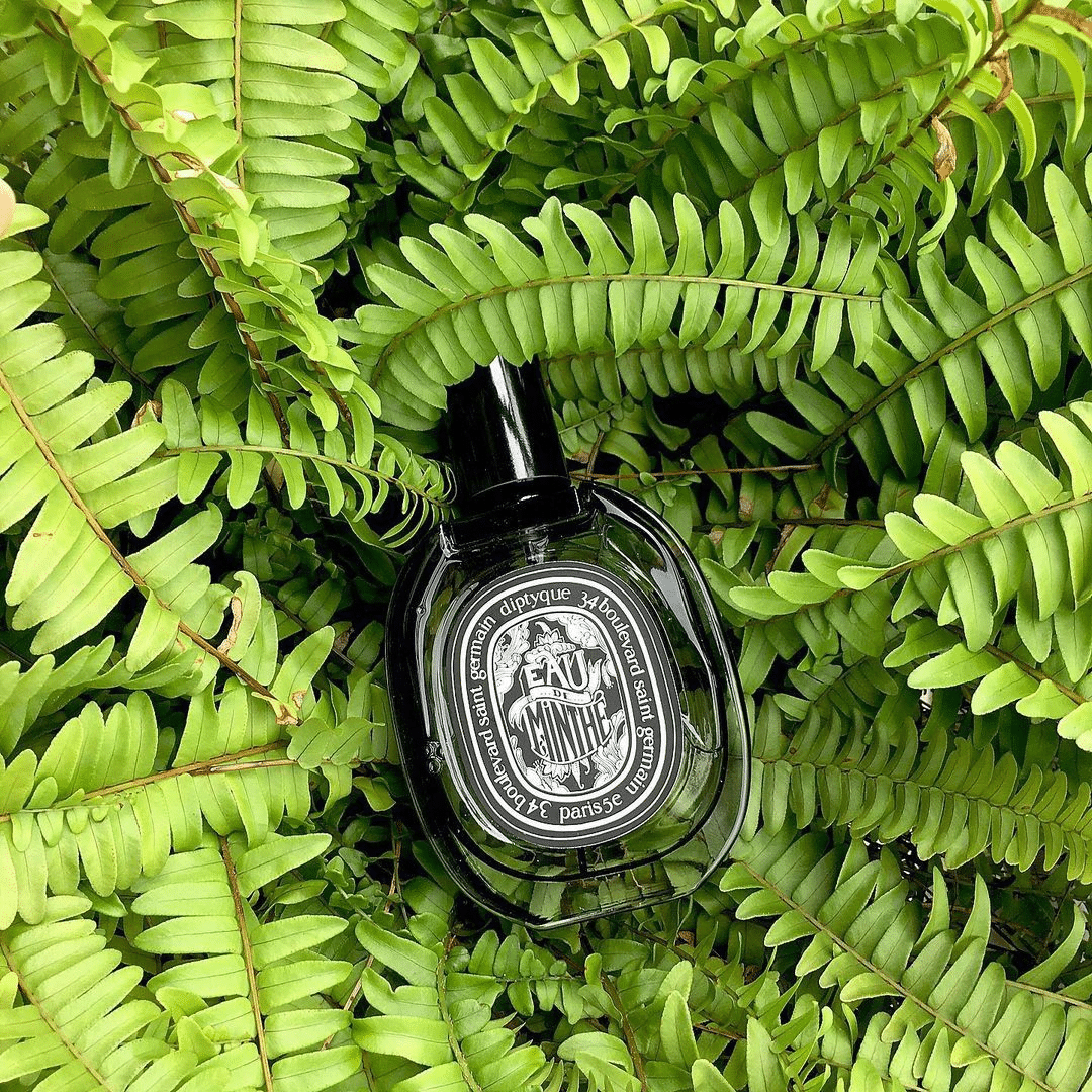 Review nước hoa Diptyque – Top 5 chai nước hoa xứng đáng đầu tư nhất