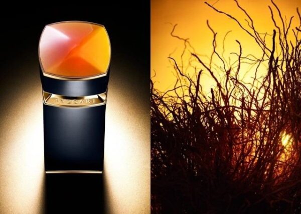 Nước Hoa Nam Bvlgari Le Gemme Ambero