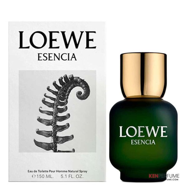 Nước Hoa Nam Loewe Esencia Pour Homme EDT