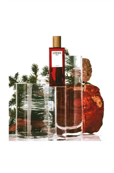 Nước Hoa Nam Loewe Solo Cedro