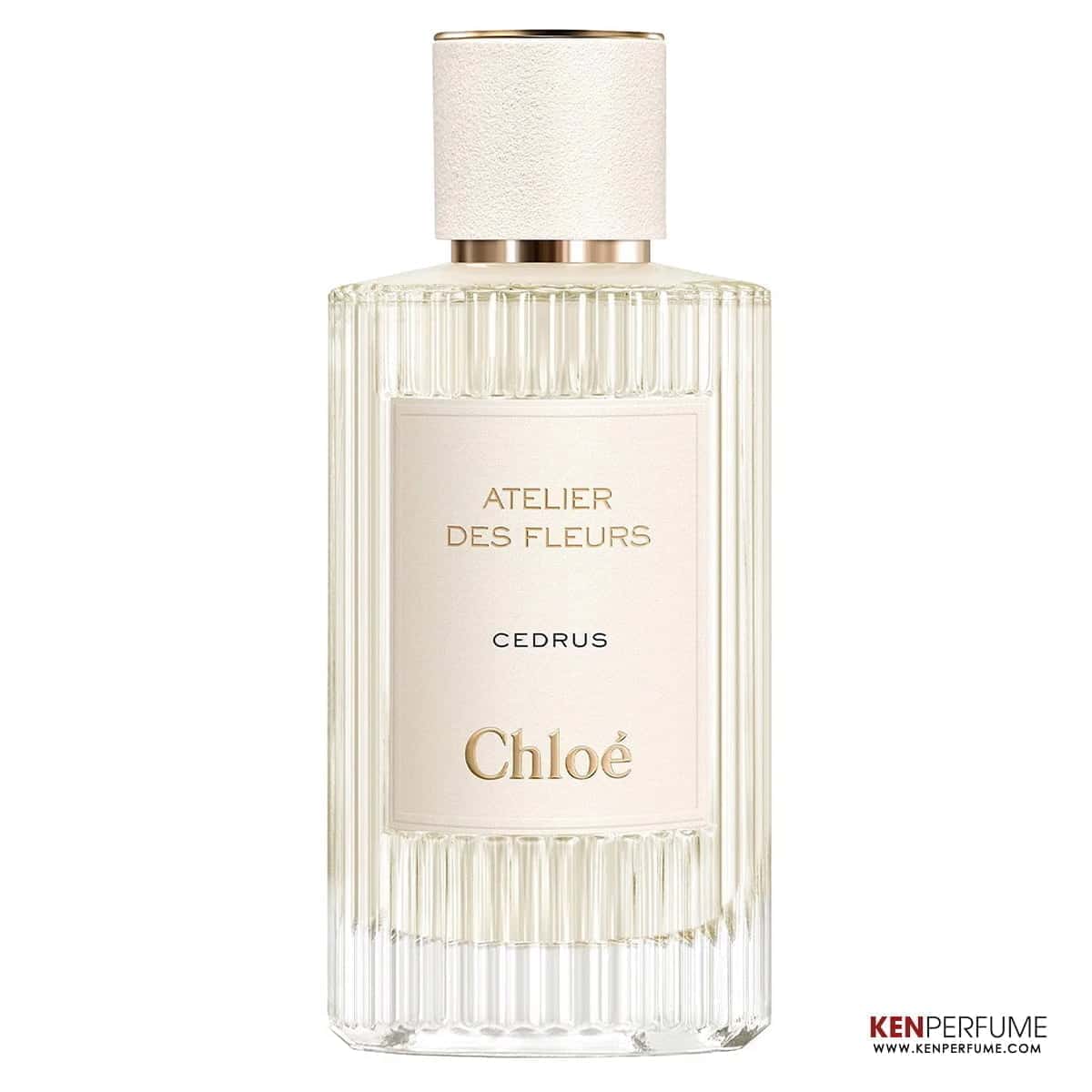 Nước Hoa Unisex Chloe Atelier Des Fleurs Cedrus