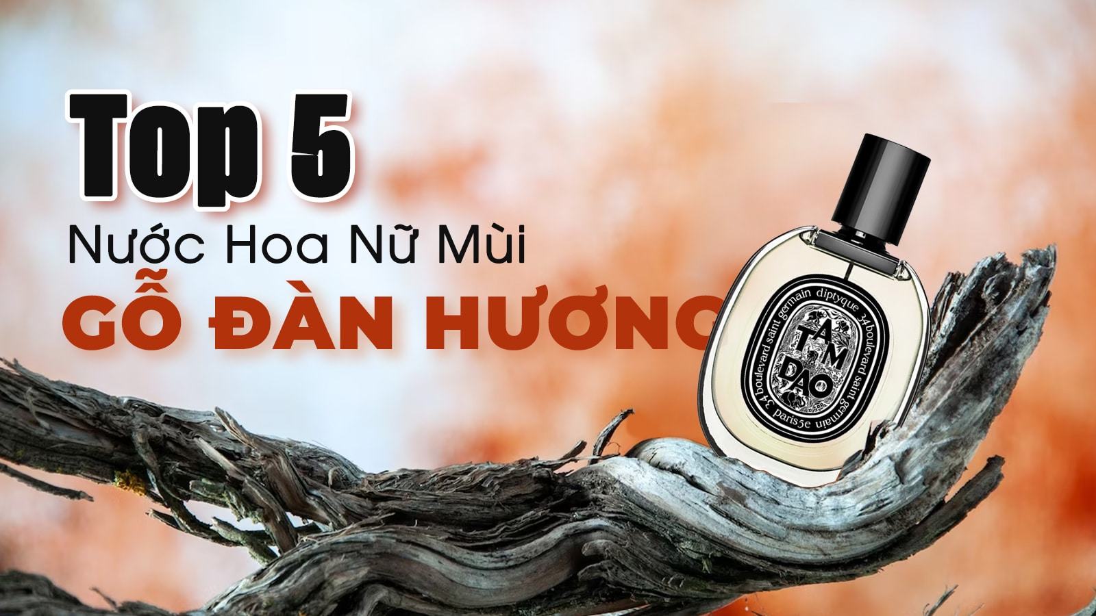 Top 5 chai nước hoa nữ mùi gỗ đàn hương cuốn hút, độc đáo