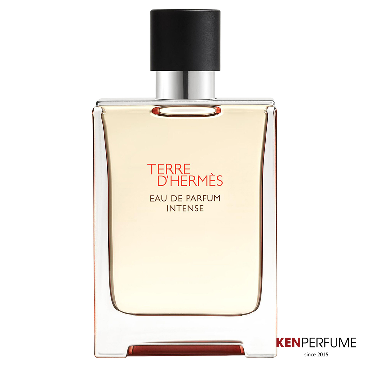 Terre D’hermès Intense Hermès